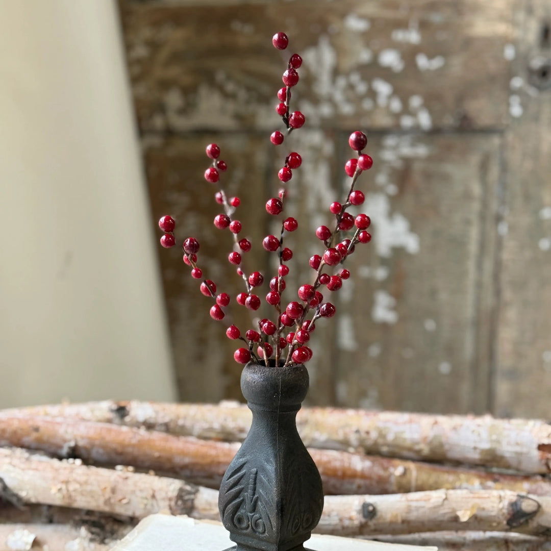 Red Reverie Berry Bush 