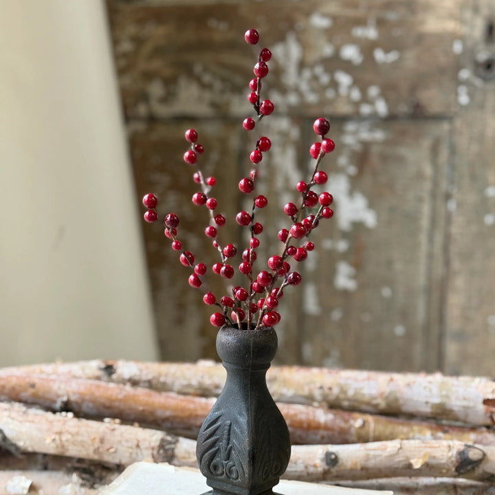 Red Reverie Berry Bush 