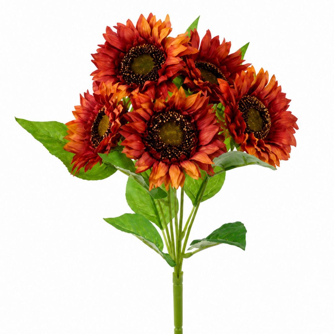 Red Velvet Sunflower Bush