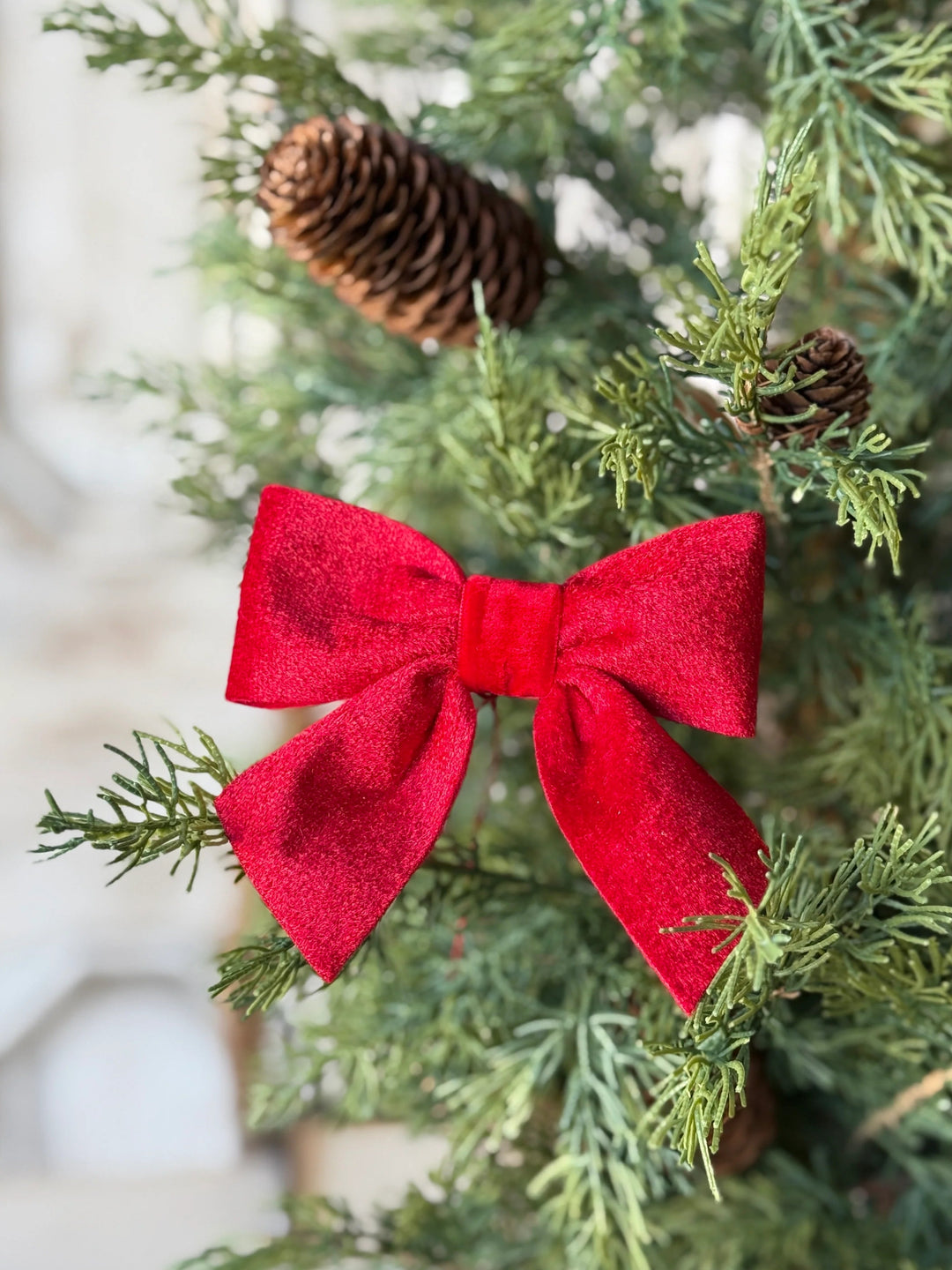 Red Velvet Tie Bow