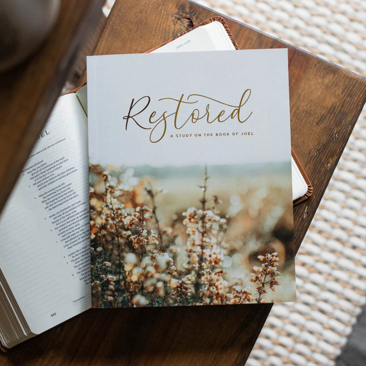 Restored: Study On Joel