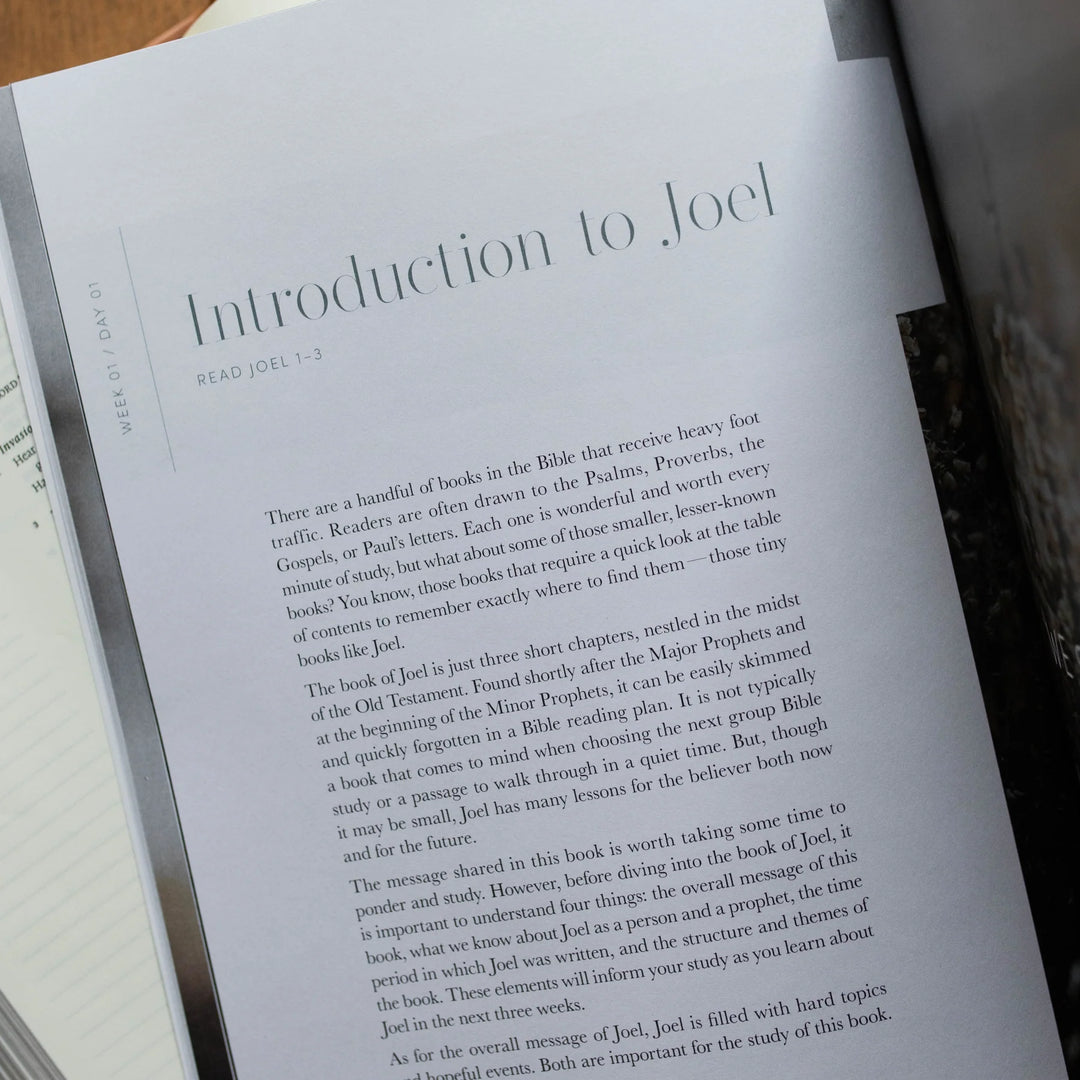 Restored: Study On Joel
