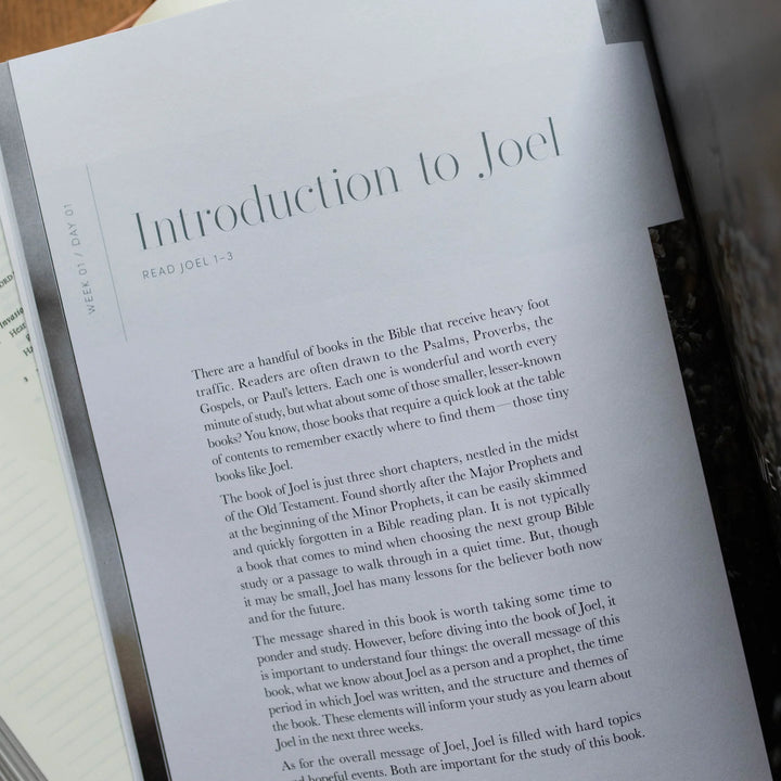 Restored: Study On Joel
