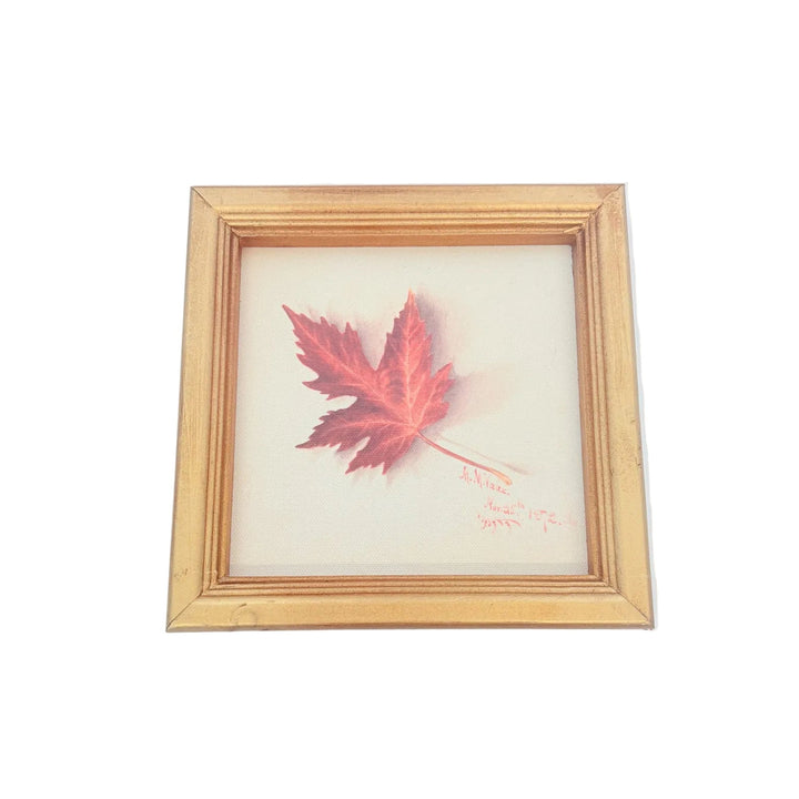 A square framed art print featuring a red maple leaf illustration on a light cream background, enclosed in a natural wood frame against a white backdrop.