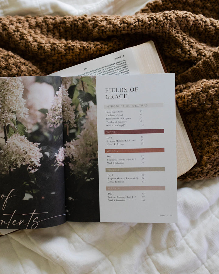 Ruth Study: Fields Of Grace