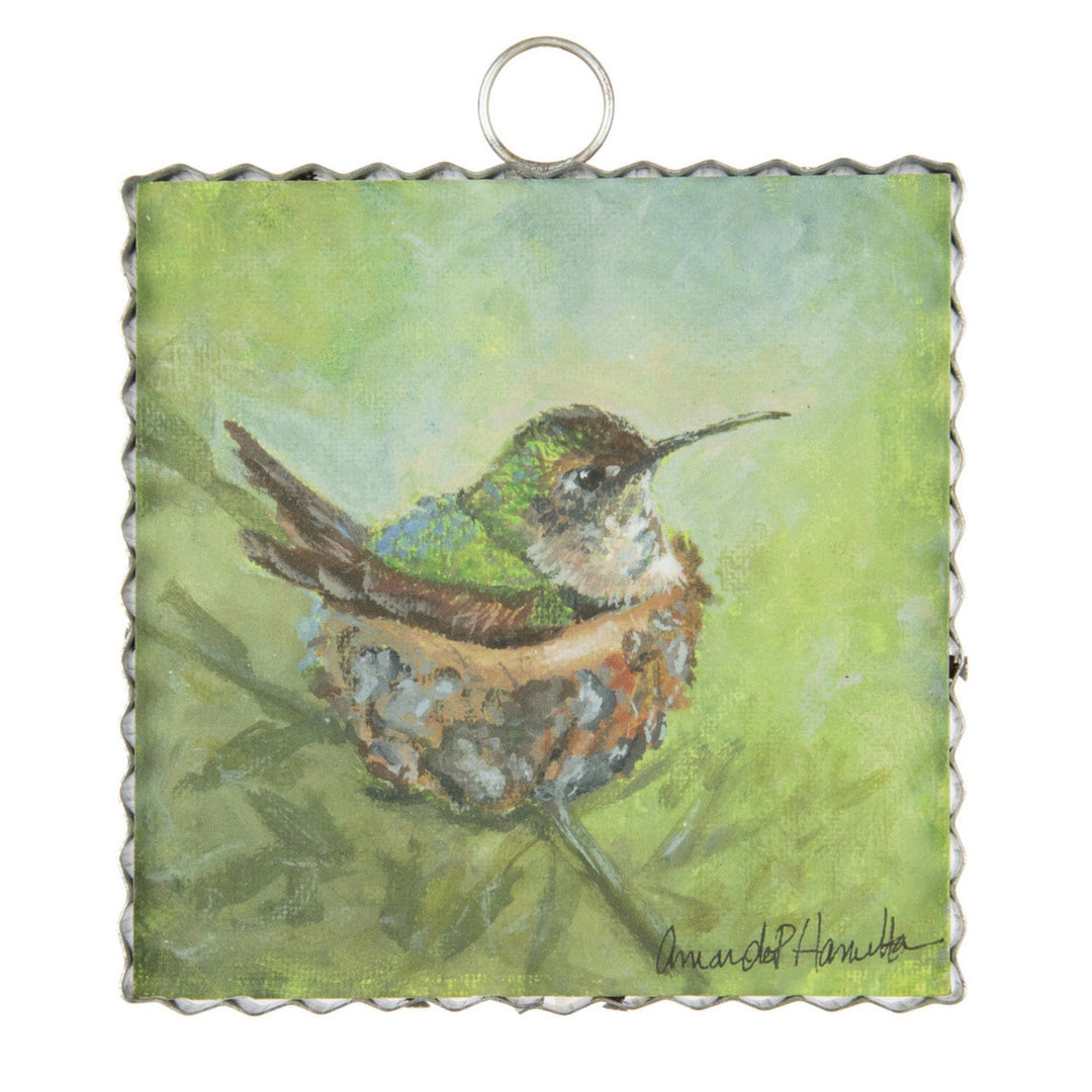 Mini Hamilton Hummingbird Print