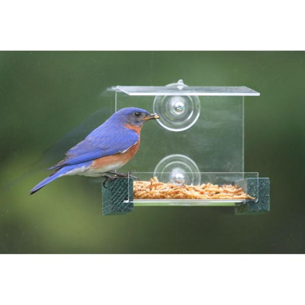 Mini Window Bird Feeder