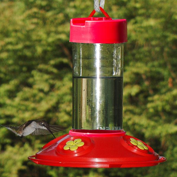 Easy Clean Hummingbird Feeder