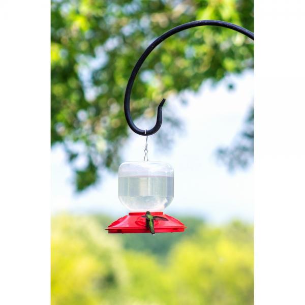 Dr. JBs Switchable Size Feeder