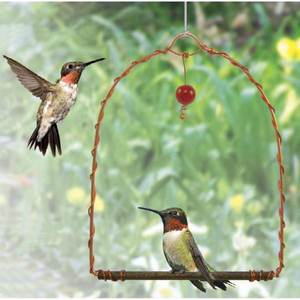 Copper Gem Hummingbird Swing