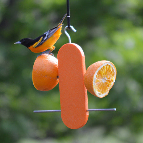 Double Orange Poly Feeder