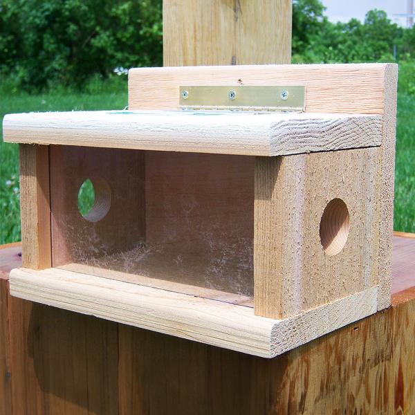Cedar & Plexiglass Bluebird Feeder