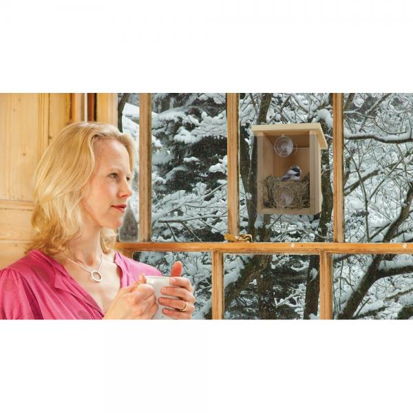 Window View Cedar Birdhouse