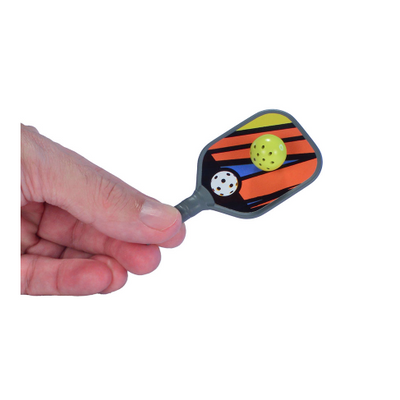 World's Smallest Pickleball Game