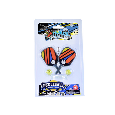World's Smallest Pickleball Game