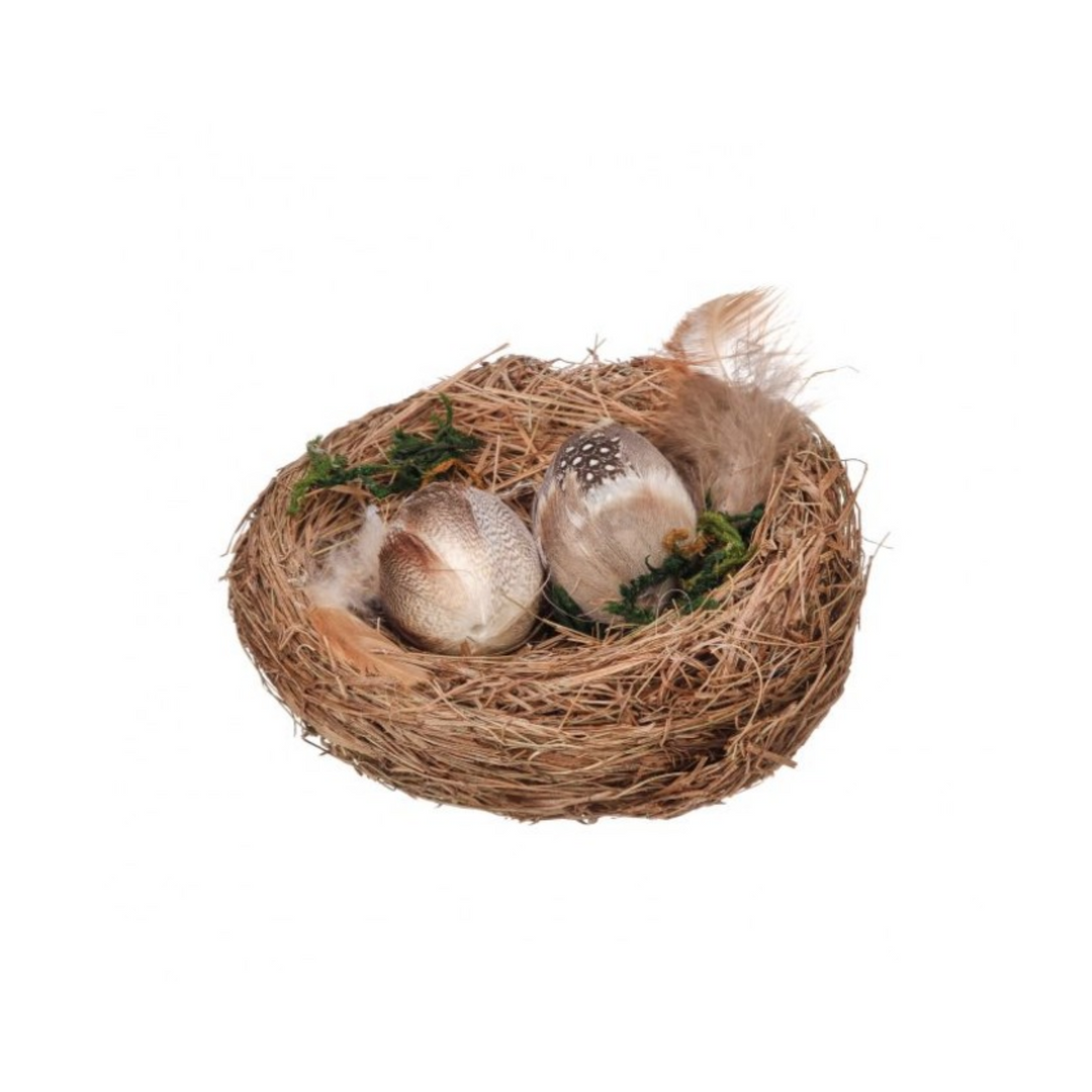 Feathered Egg Nest