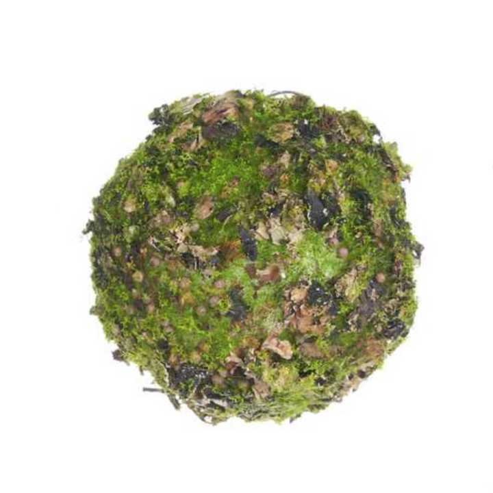 Moss & Lichen Orb
