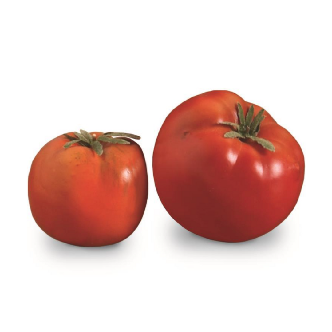 Red Sun Ripened Tomato