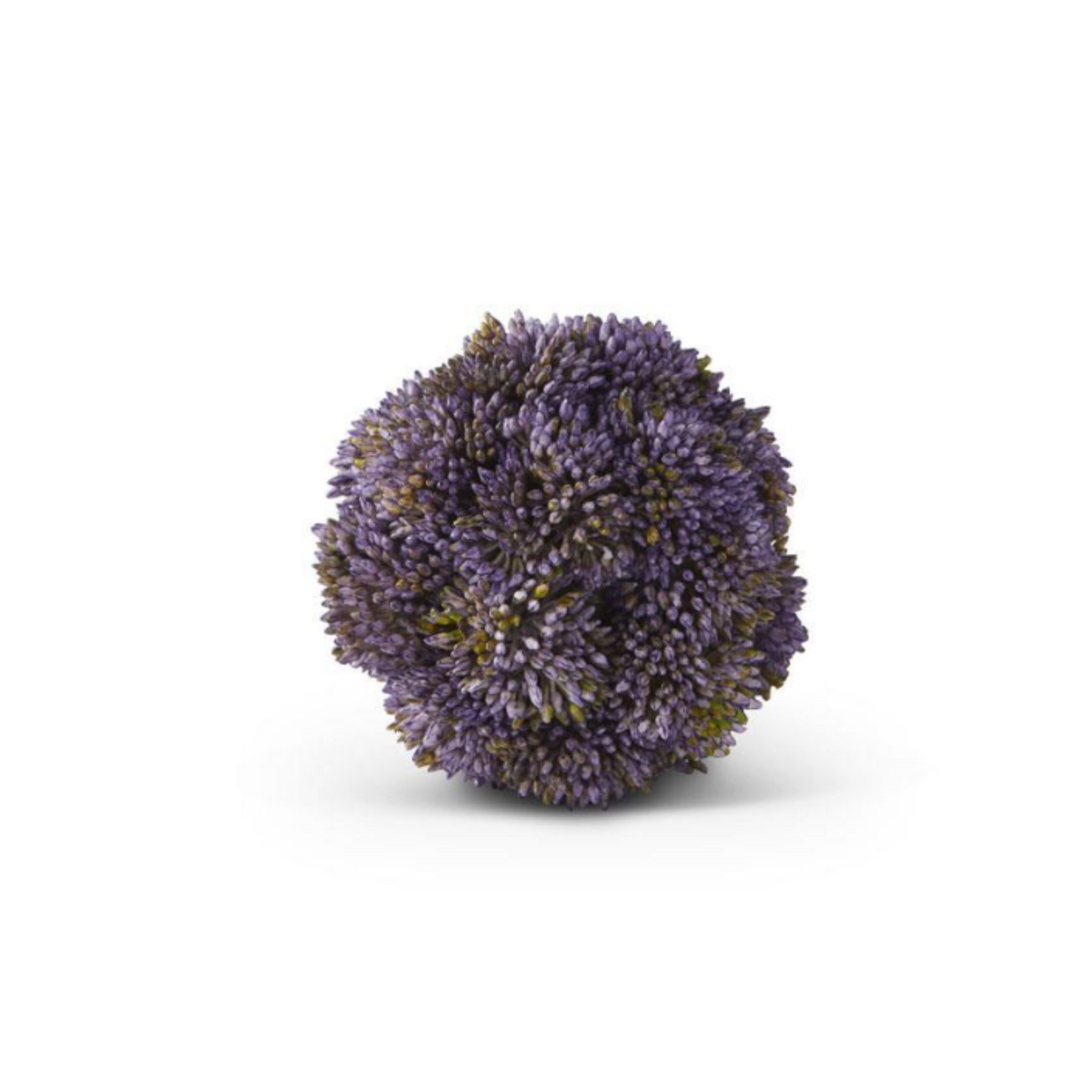 Purple Sedum Ball