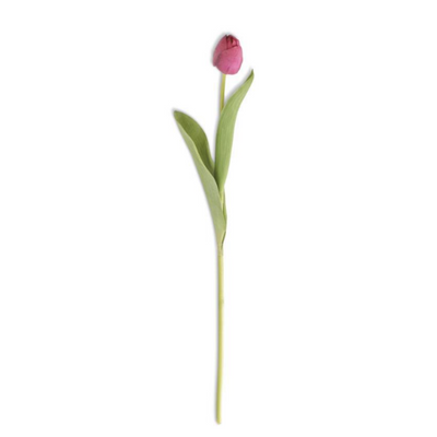 Real Touch Tulip Stem