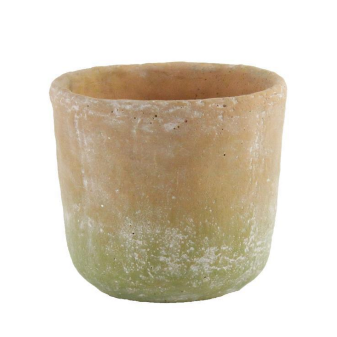 Moss Weathered Cement Pot