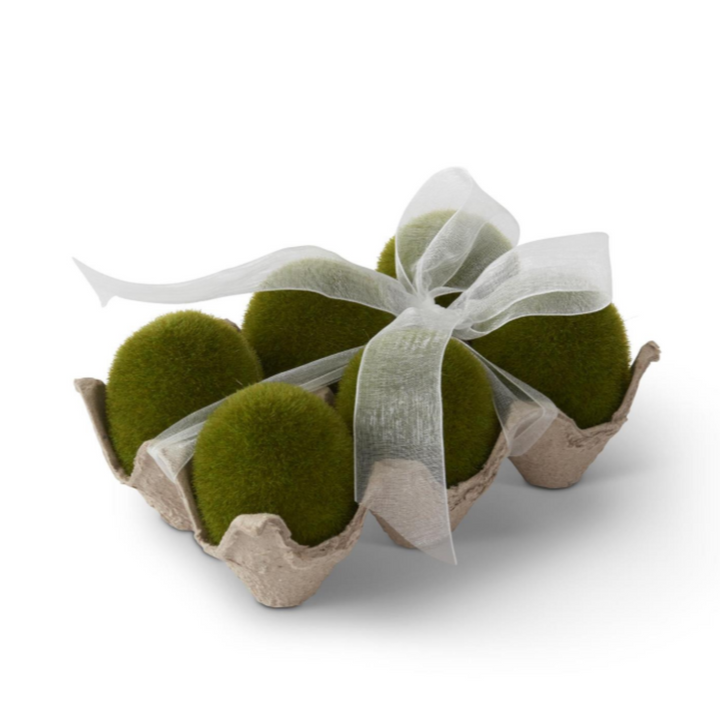 Mossy Eggs & Carton Set