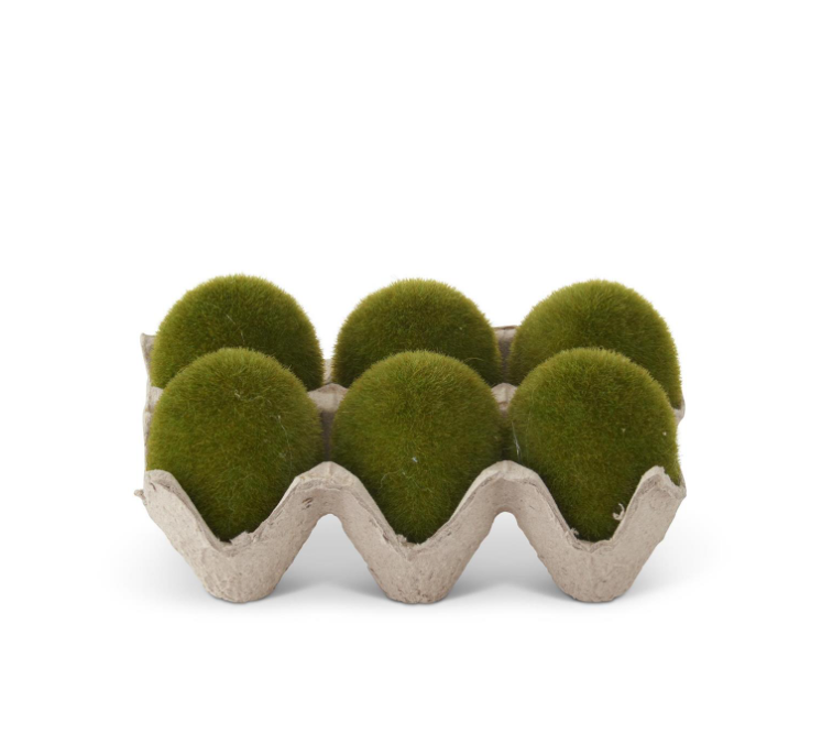 Mossy Eggs & Carton Set