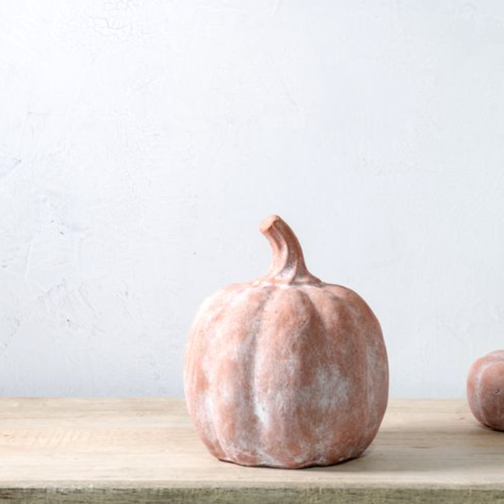Rustic Look Orange Terracotta Pumpkin