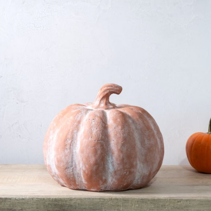 Rustic Look Orange Terracotta Pumpkin