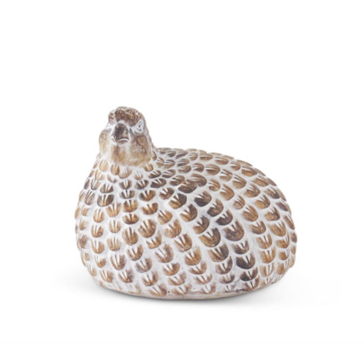 Whitewashed Sitting Quail