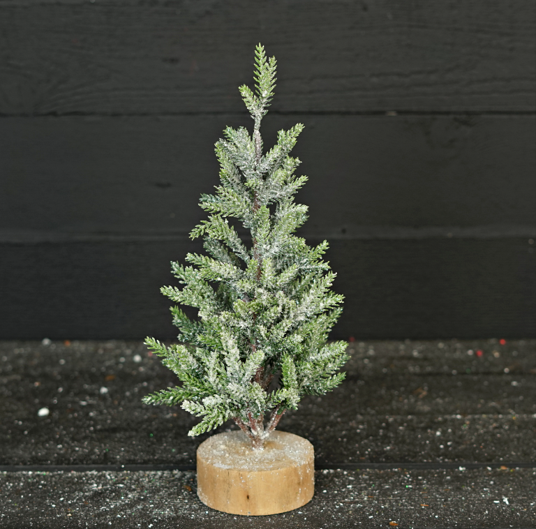 Snowy Hemlock Pine Tree