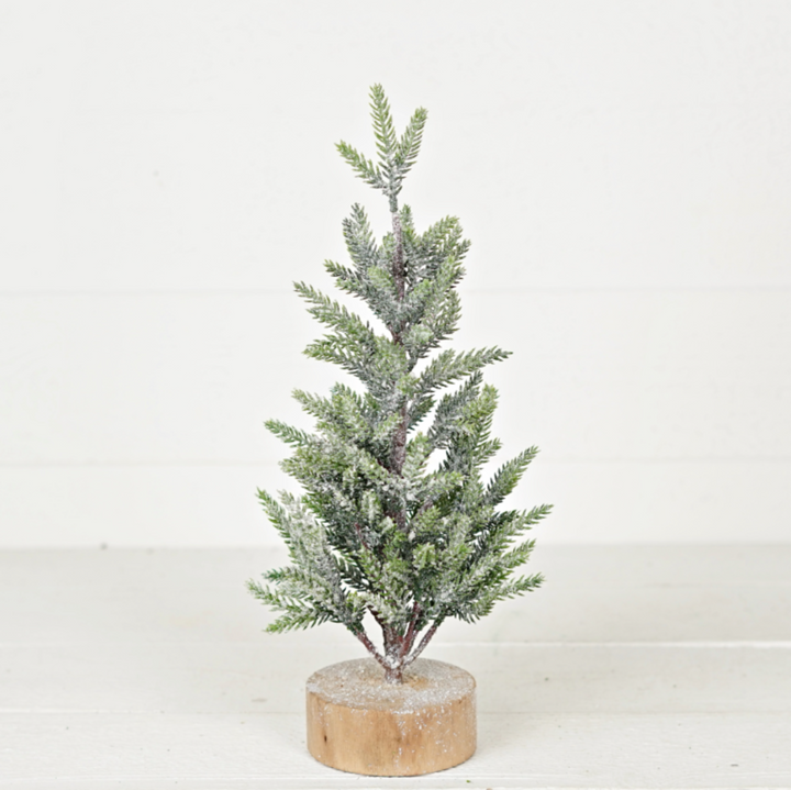 Snowy Hemlock Pine Tree