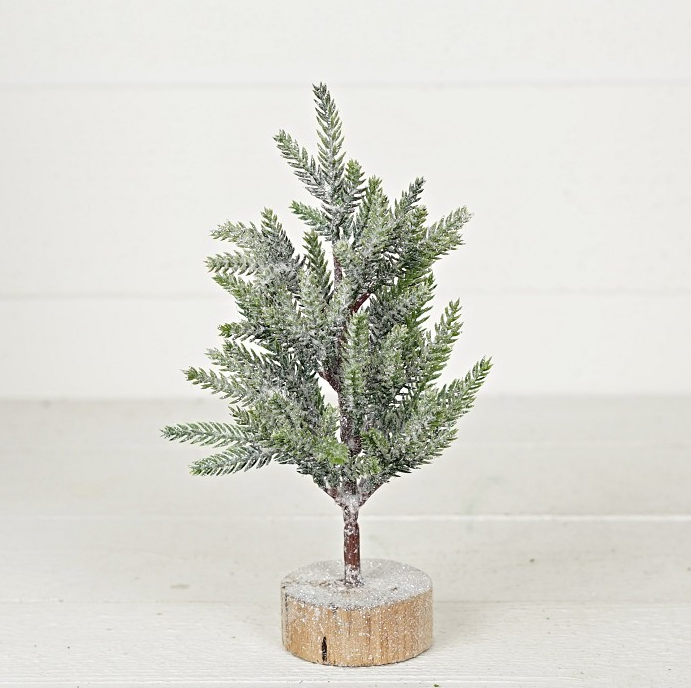 Snowy Hemlock Pine Tree