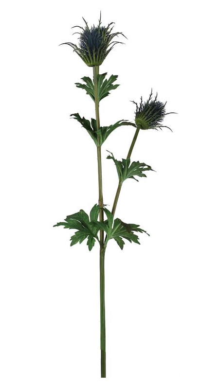 Thistle Spray Blue