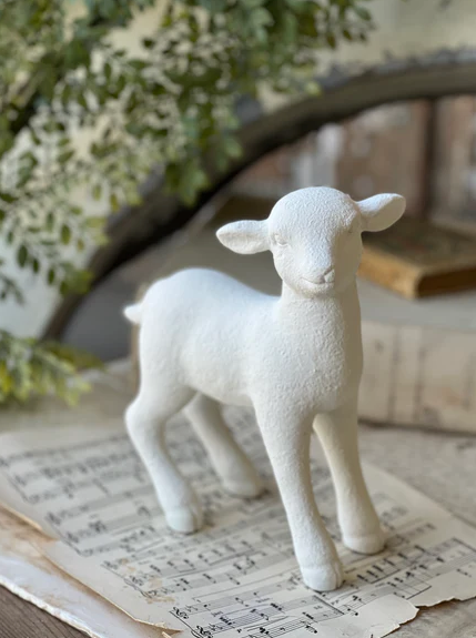 Shepherd's Rest Lamb