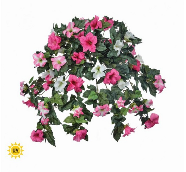 Trailing Petunia Plant (lifestyle photo)