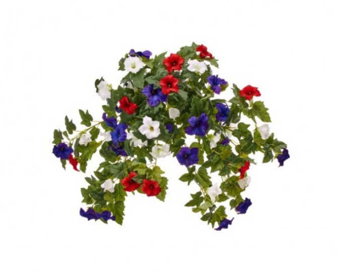 Trailing Petunia Plant (lifestyle photo)