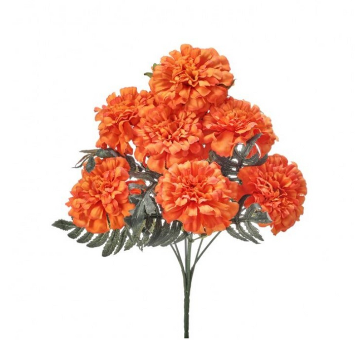 Marigold Blooms Bush