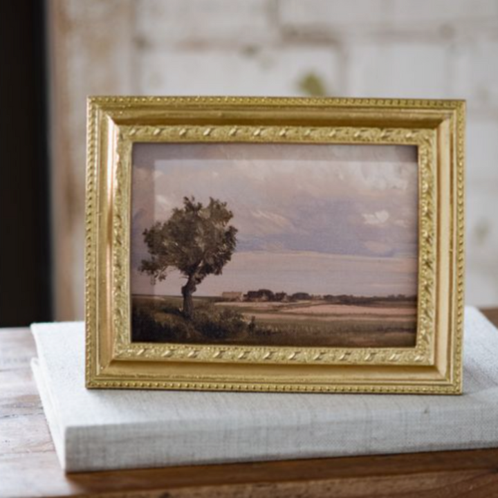 Natural Framed Landscape