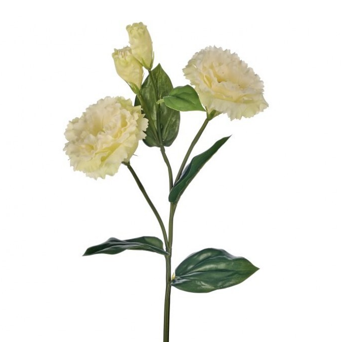 Just Cut Lisianthus