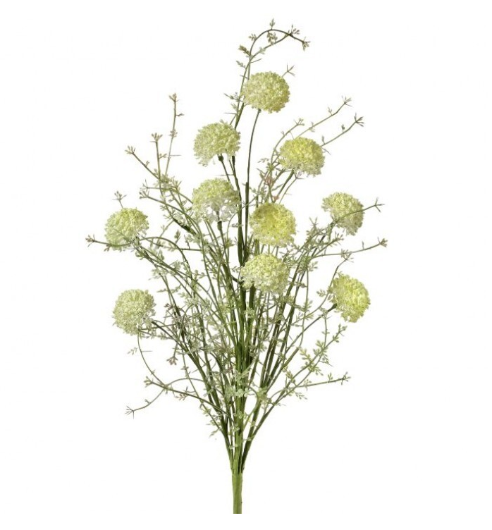 Wild Allium & Lavender Bush