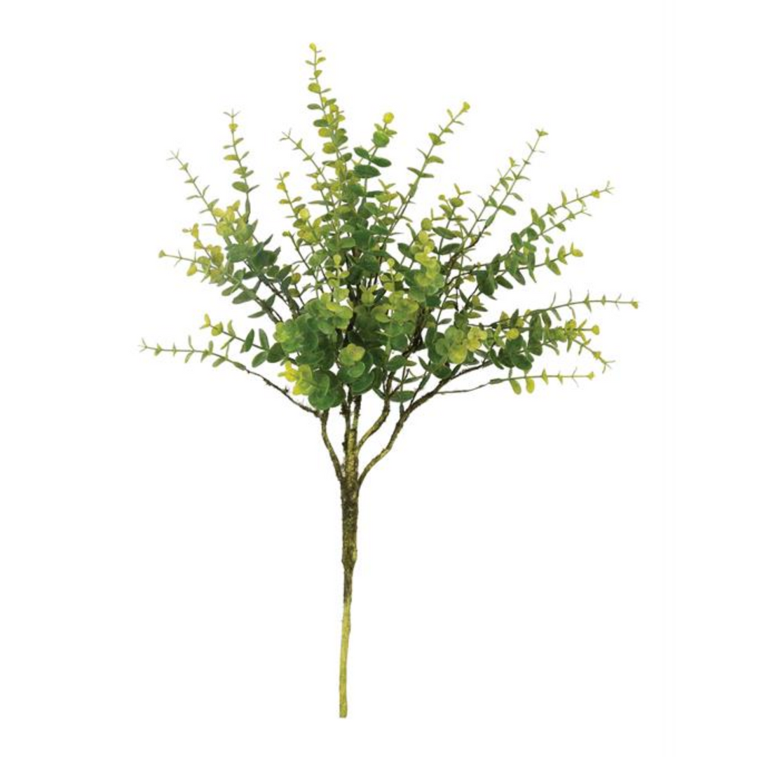 Mini Eucalyptus Bush