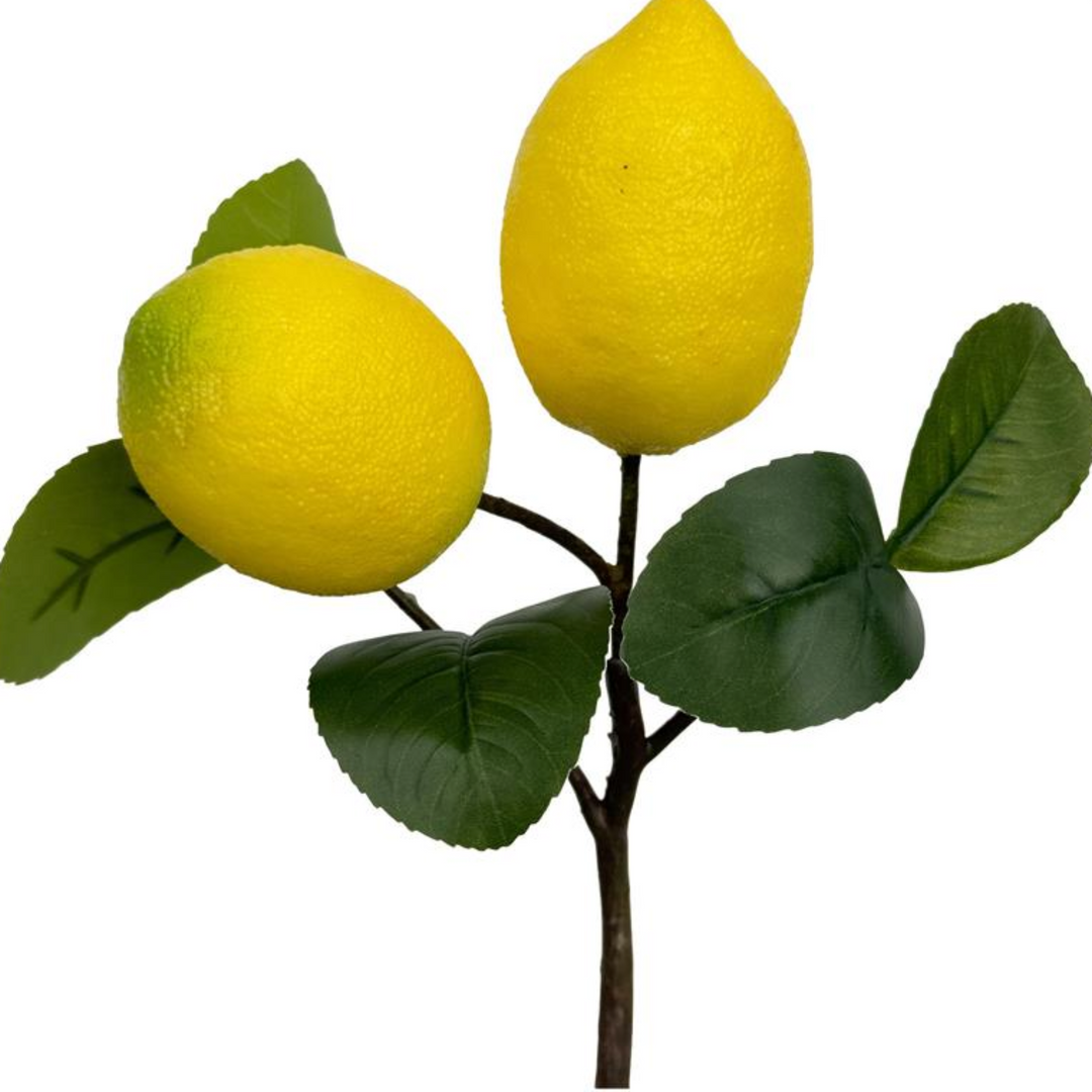 Lemon Branch Pick