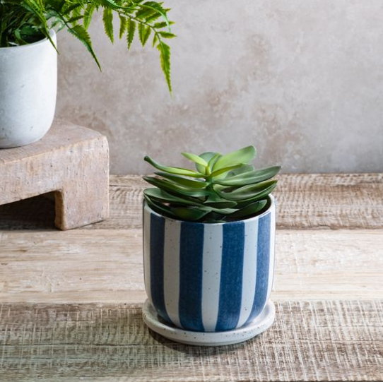 Matte Stripe Ceramic Planter