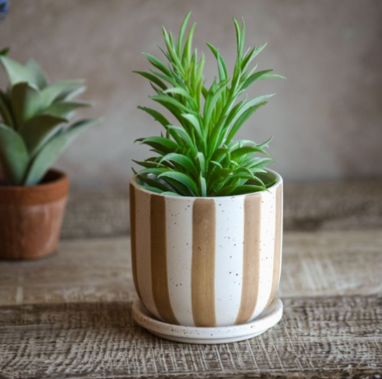 Matte Stripe Ceramic Planter