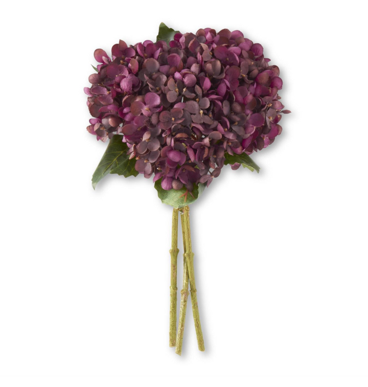Two Tone Hydrangea Bundle