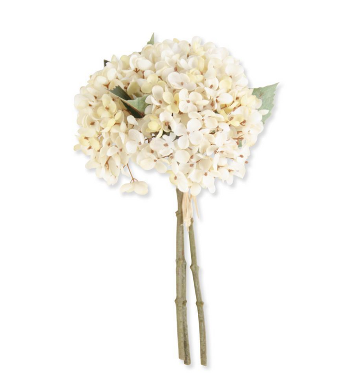 Two Tone Hydrangea Bundle