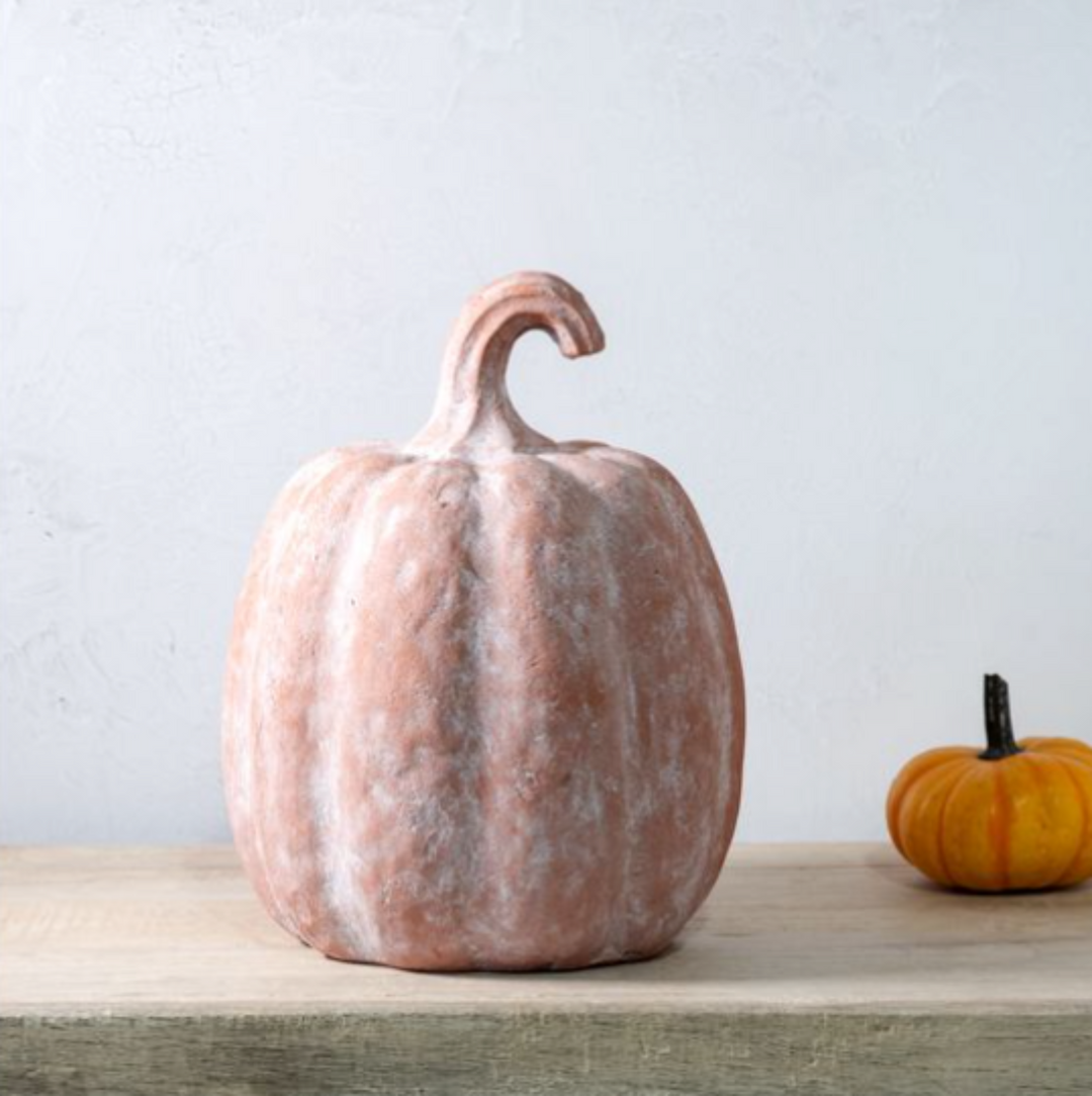 Harvest Heirloom Pumpkin