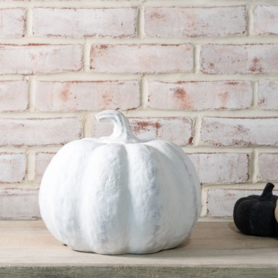 Harvest Heirloom Pumpkin