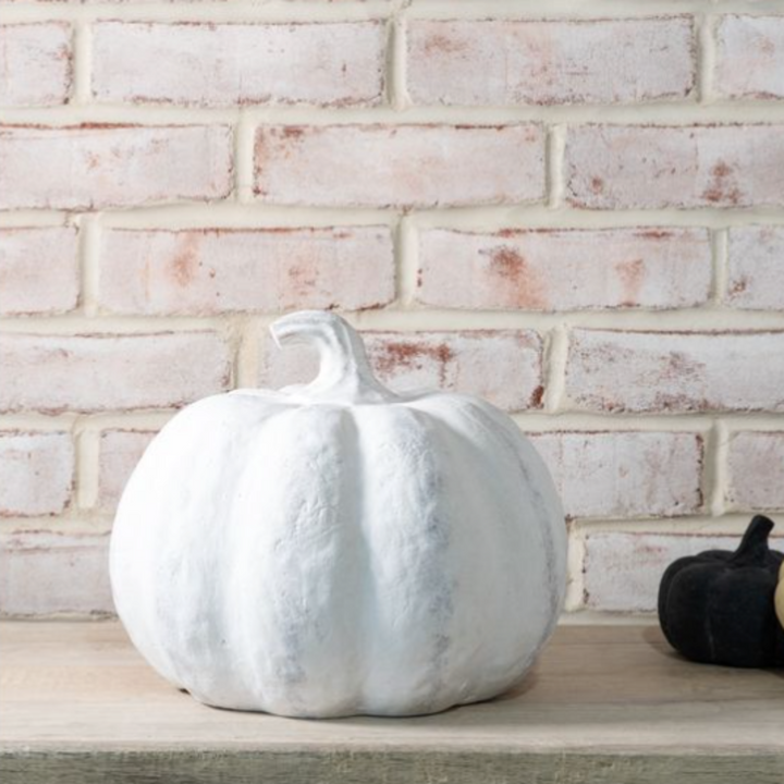 Harvest Heirloom Pumpkin